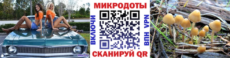 Галлюциногенные грибы мухоморы  Касимов 
